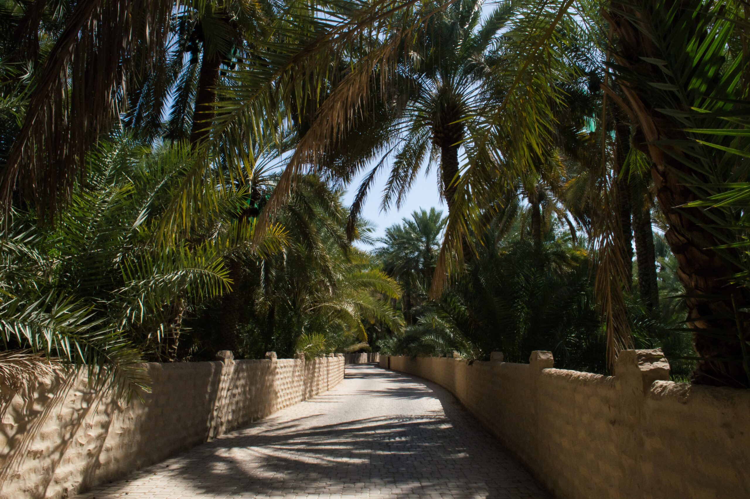 Al Ain Oasis, UAE