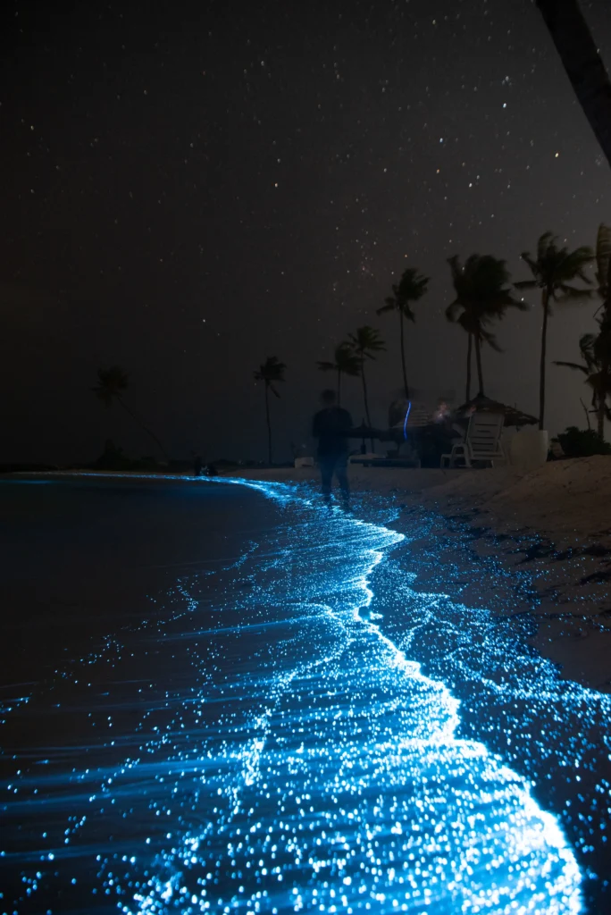 Stunning bioluminiscence at beach in the Maldives