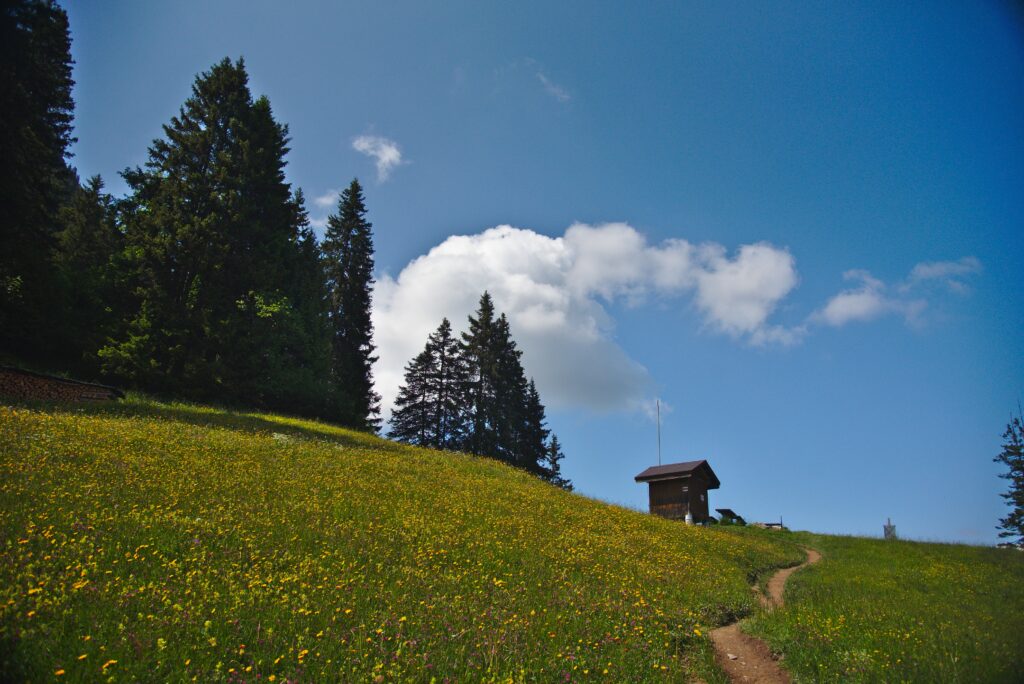 Allmendhubel Flower Trail on Lauterbrunnen Hike