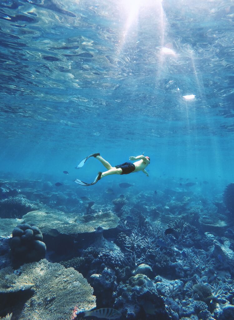 Snorkeling in Maldives waters