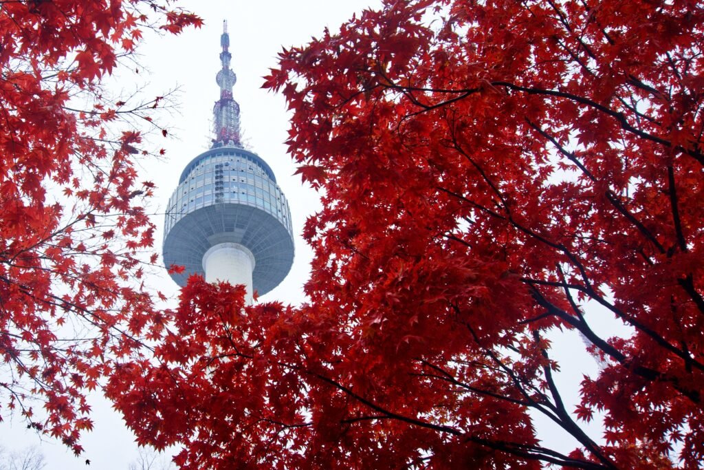 N Seoul Tower - Best places to see in Seoul