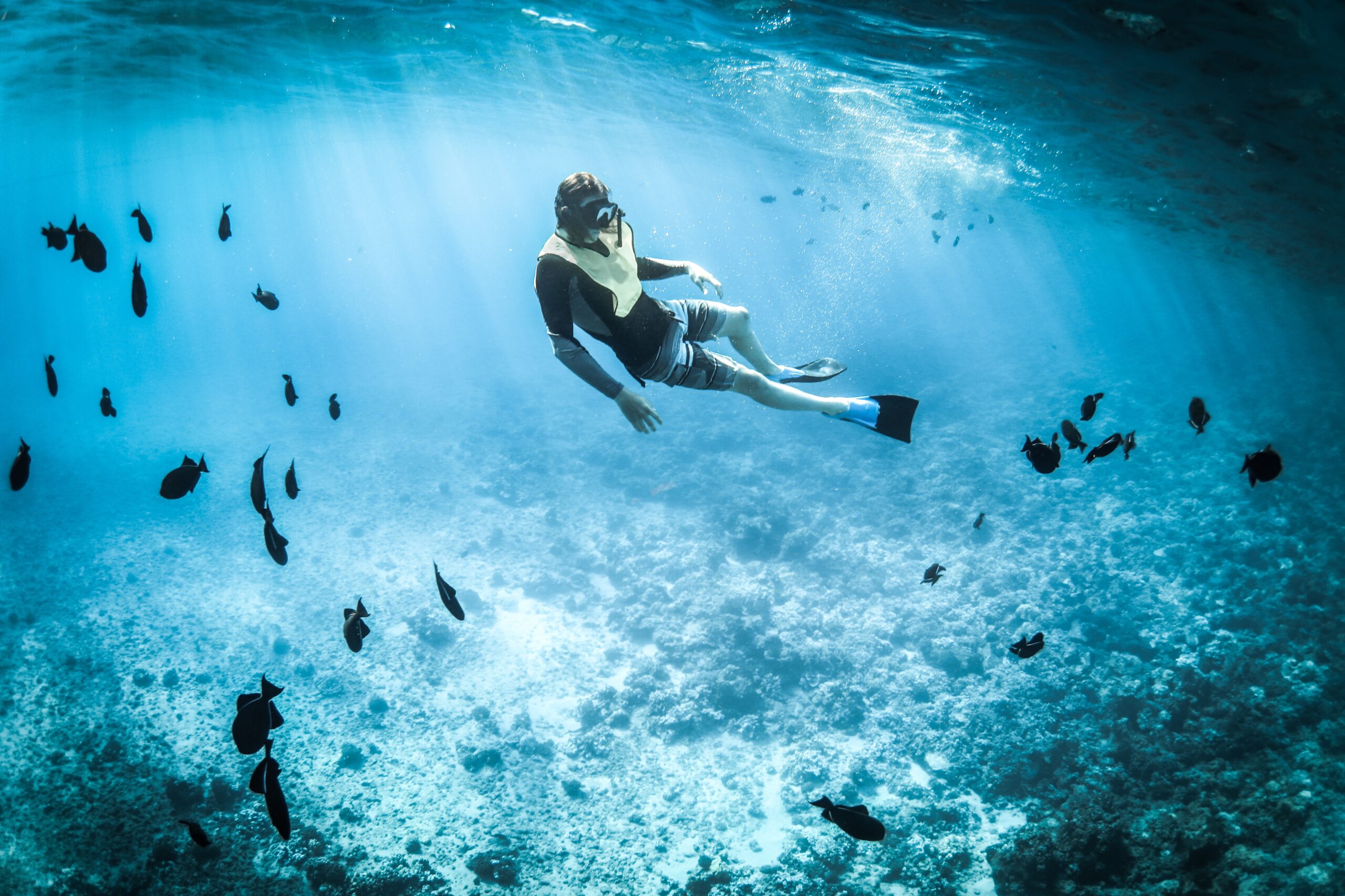 The Best Places For Snorkeling In Oahu Hawaii
